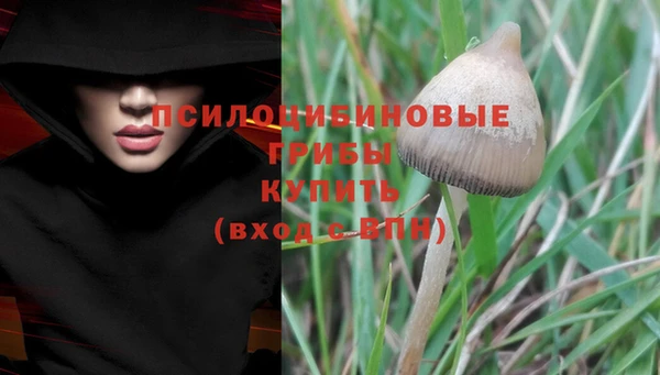 соль курить ск Аркадак