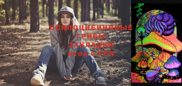 стаф Арсеньев