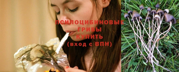 стаф Арсеньев