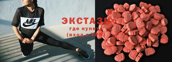 стаф Арсеньев