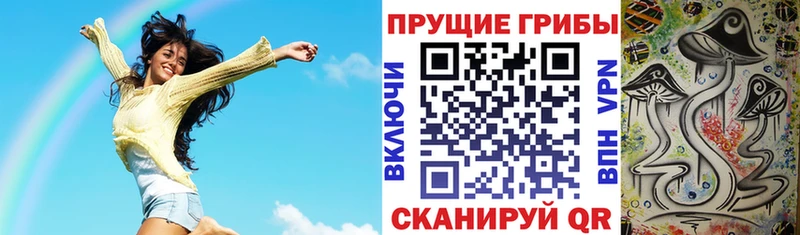 сколько стоит  Канаш  Галлюциногенные грибы мицелий 